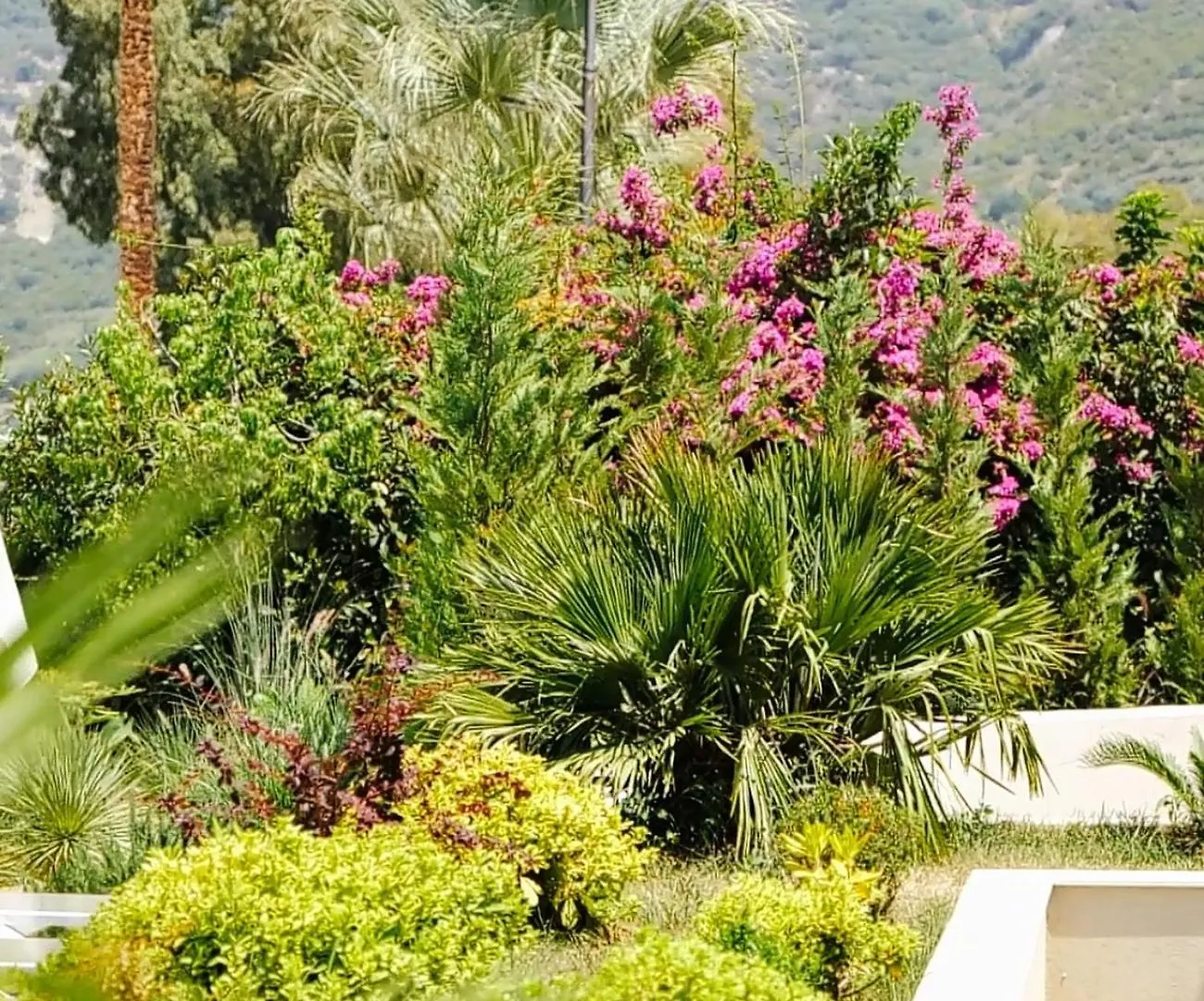 Dukes Albania Hotel Radhime